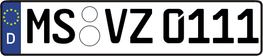 MS-VZ0111