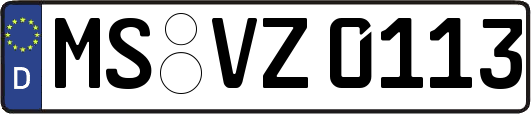 MS-VZ0113