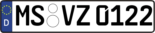 MS-VZ0122
