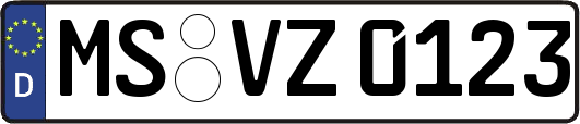 MS-VZ0123