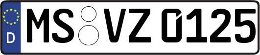 MS-VZ0125