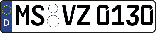 MS-VZ0130