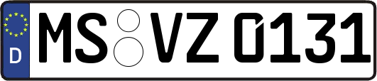 MS-VZ0131