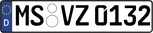 MS-VZ0132