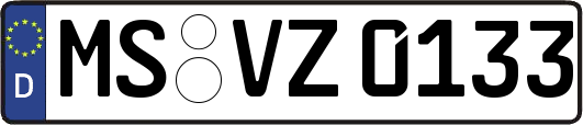 MS-VZ0133