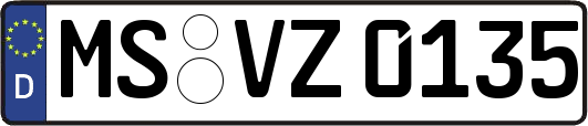 MS-VZ0135