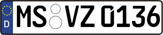 MS-VZ0136