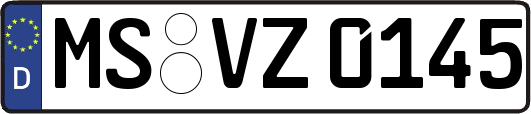 MS-VZ0145
