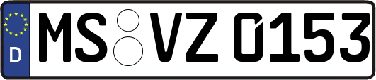 MS-VZ0153