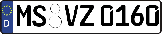 MS-VZ0160