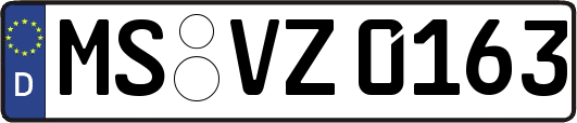 MS-VZ0163