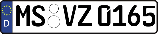MS-VZ0165