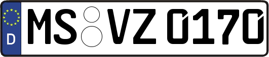 MS-VZ0170