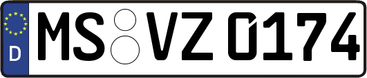 MS-VZ0174