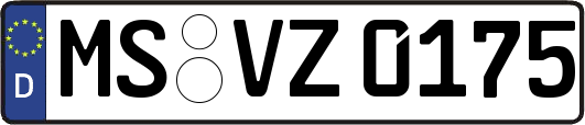 MS-VZ0175