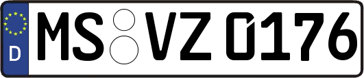 MS-VZ0176