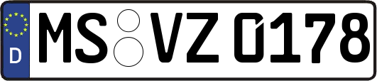 MS-VZ0178