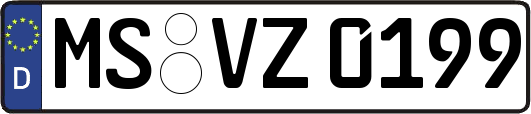 MS-VZ0199
