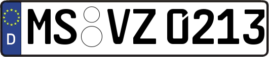 MS-VZ0213