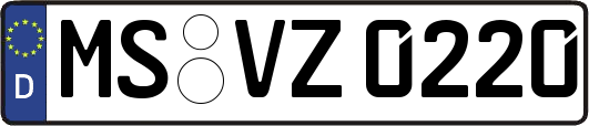 MS-VZ0220