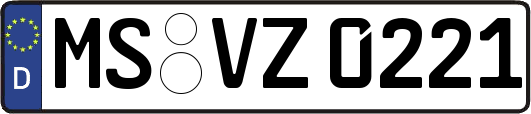 MS-VZ0221