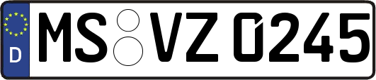 MS-VZ0245