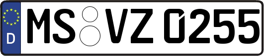 MS-VZ0255