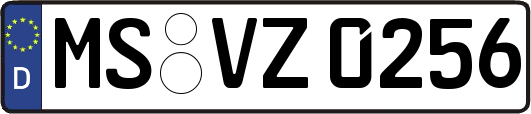 MS-VZ0256