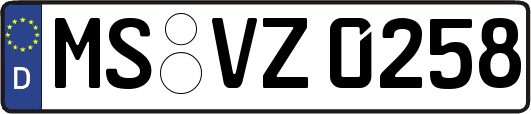 MS-VZ0258