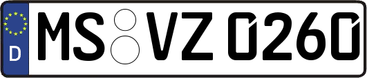 MS-VZ0260