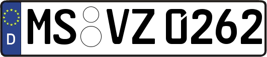 MS-VZ0262