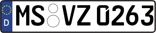MS-VZ0263