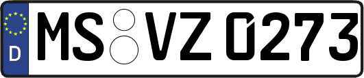 MS-VZ0273