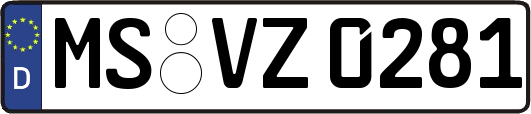 MS-VZ0281