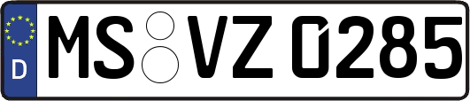 MS-VZ0285