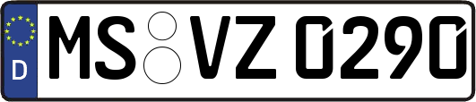 MS-VZ0290