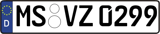 MS-VZ0299
