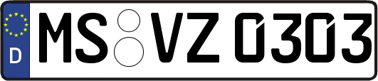 MS-VZ0303