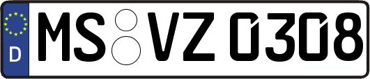 MS-VZ0308