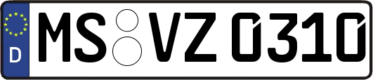 MS-VZ0310