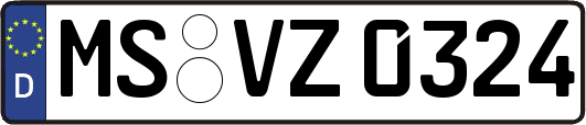 MS-VZ0324