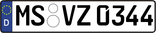 MS-VZ0344