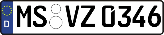 MS-VZ0346