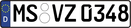 MS-VZ0348