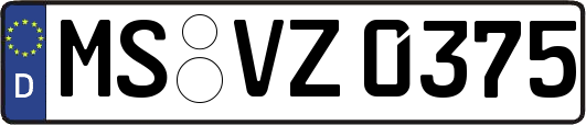 MS-VZ0375