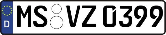 MS-VZ0399
