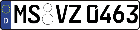 MS-VZ0463