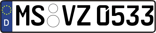 MS-VZ0533