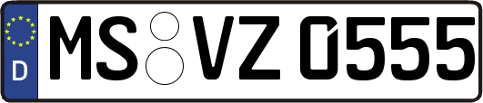 MS-VZ0555