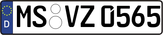 MS-VZ0565